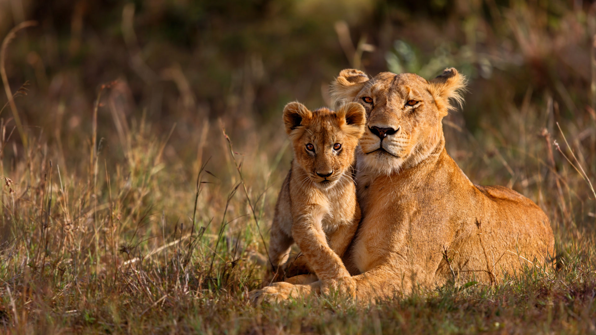 Kruger National Park