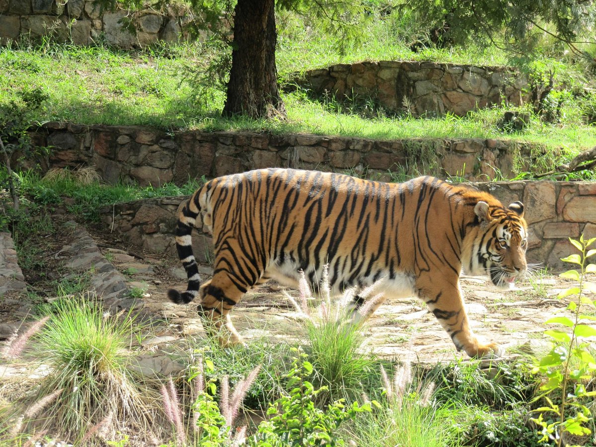 Pretoria Zoo
