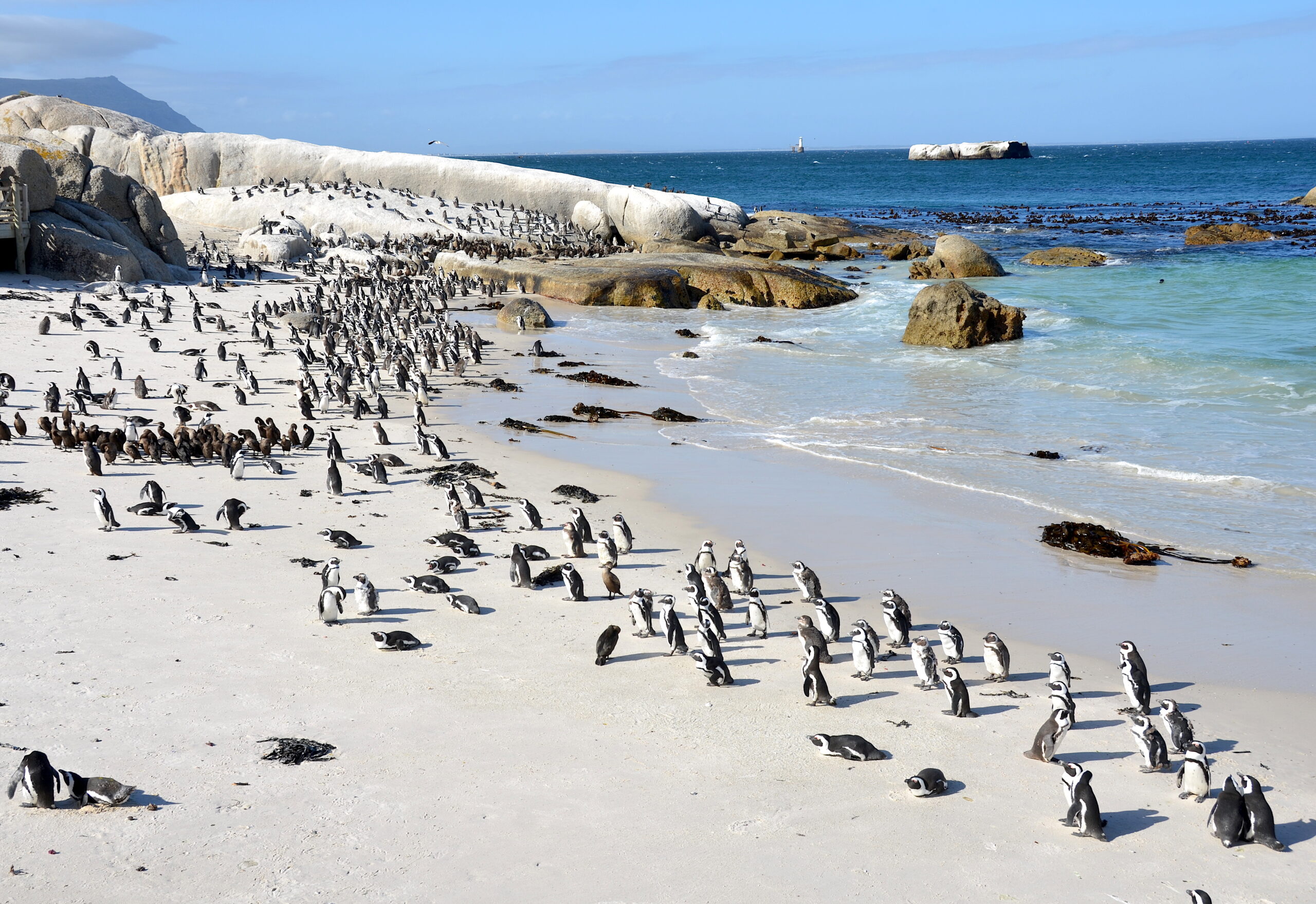 Boulders Beach