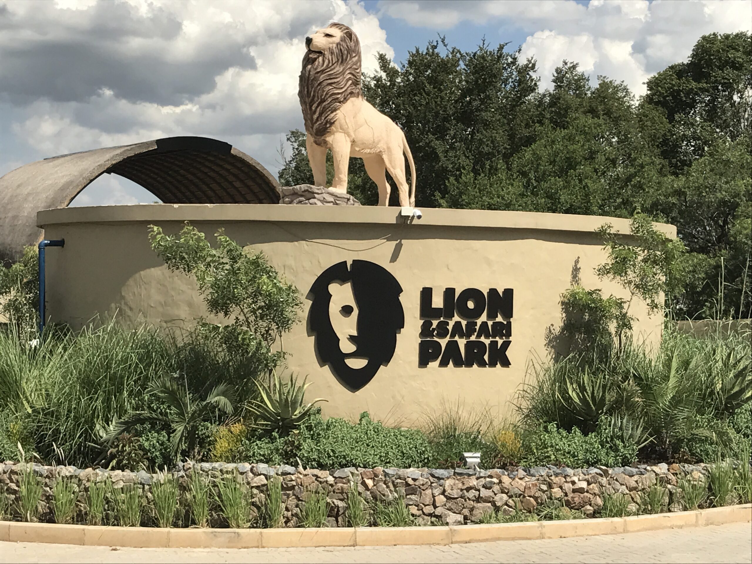 Lion park Johannesburg