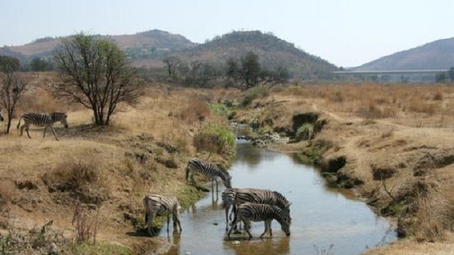 Klipriviersberg Nature Reserve