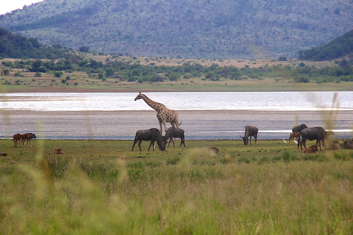 Pilanesberg