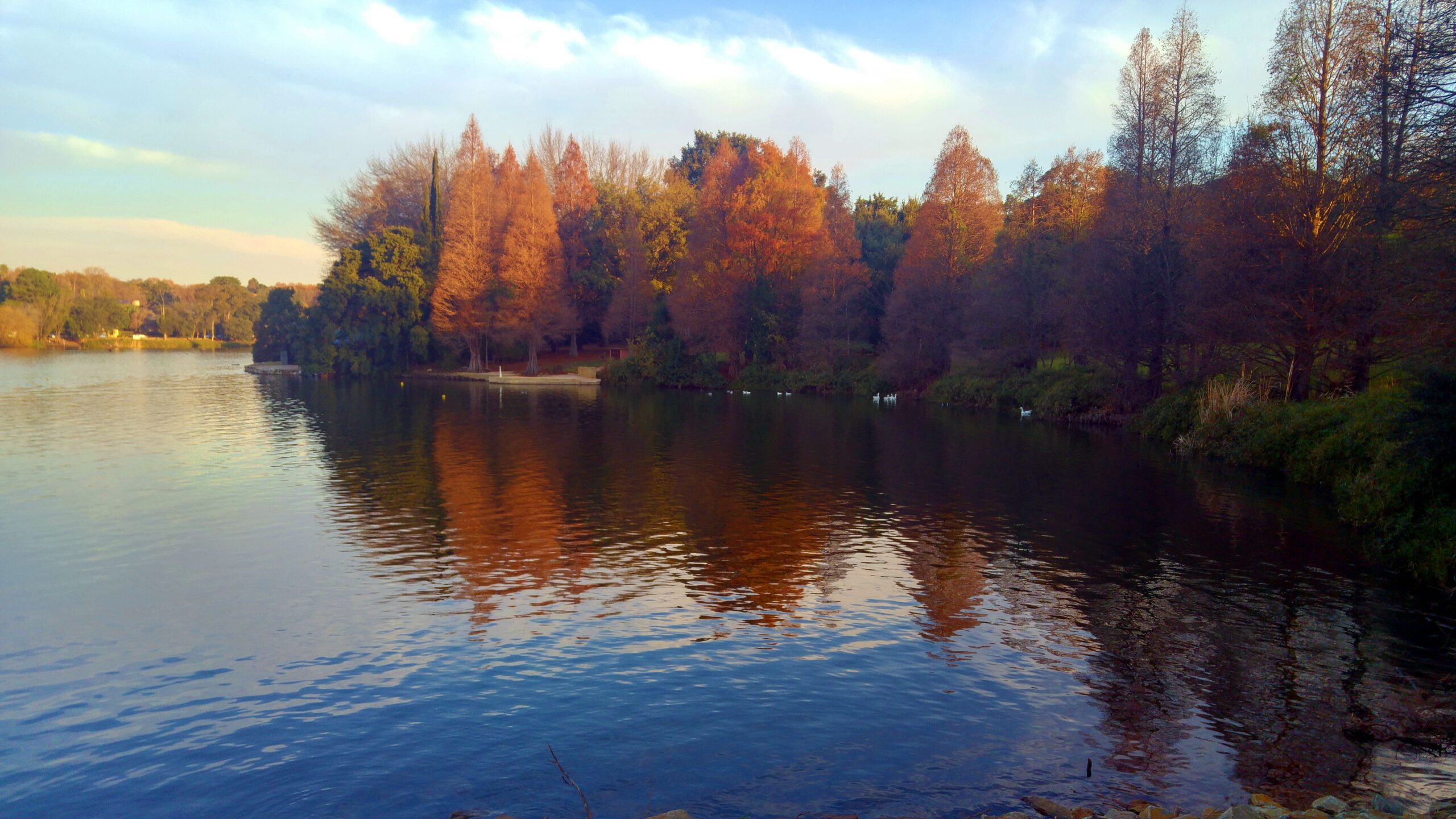 Emmarentia Dam