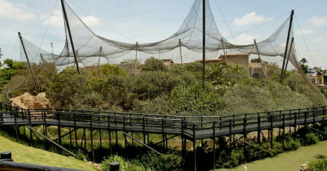 Montecasino bird gardens