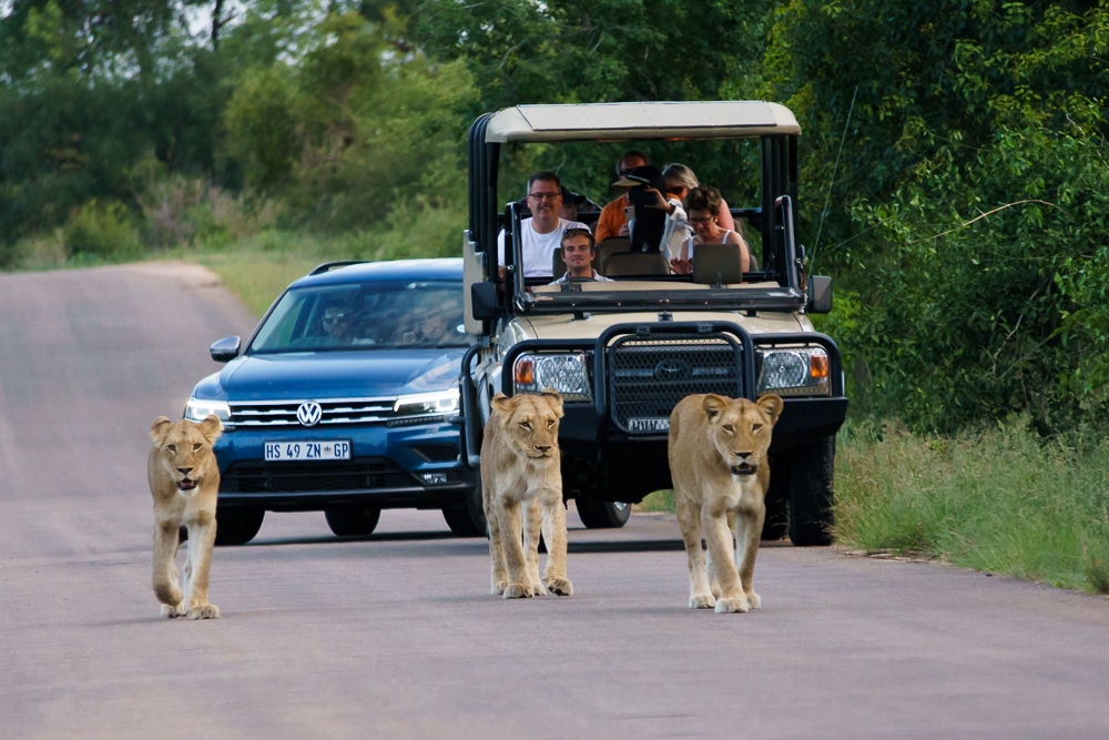 Self Drive Kruger National Park